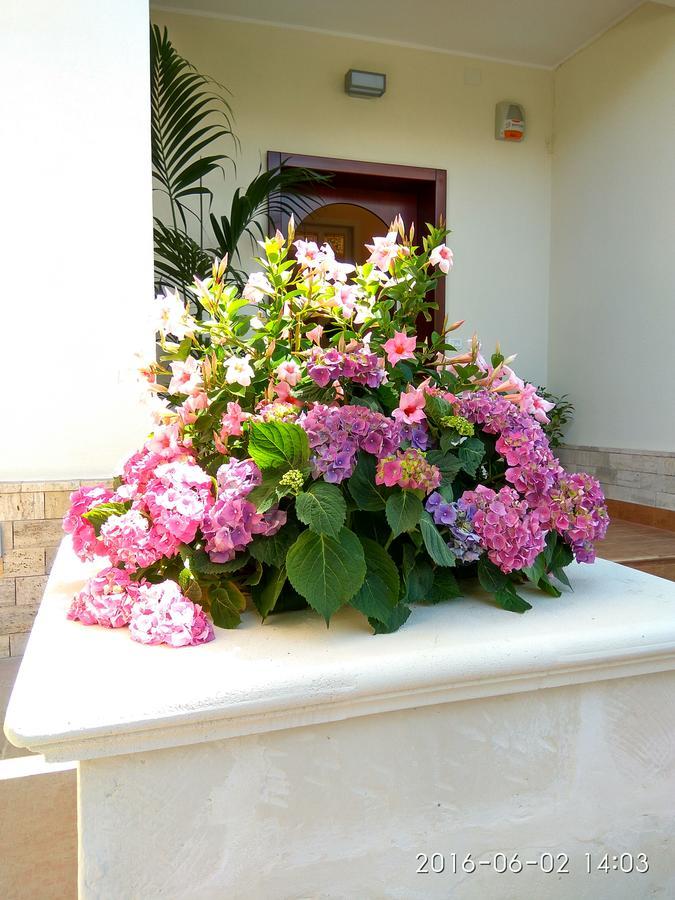 Le Camelie Bed & Breakfast Marina di Ginosa Exterior foto